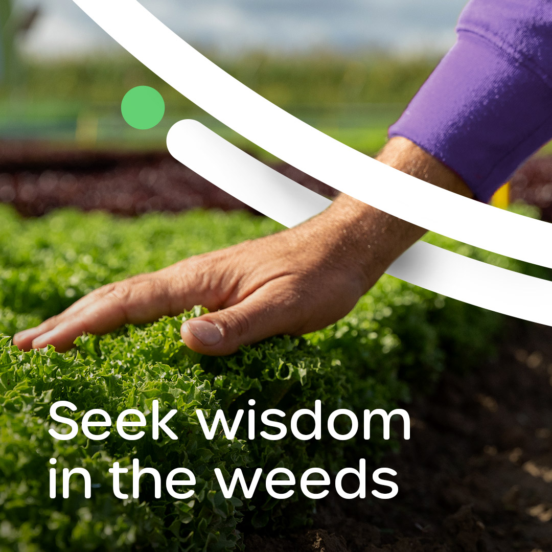 Seek wisdom in the weeds - That's gene-ius