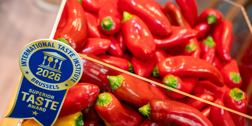 Tribelli Seedless At FL