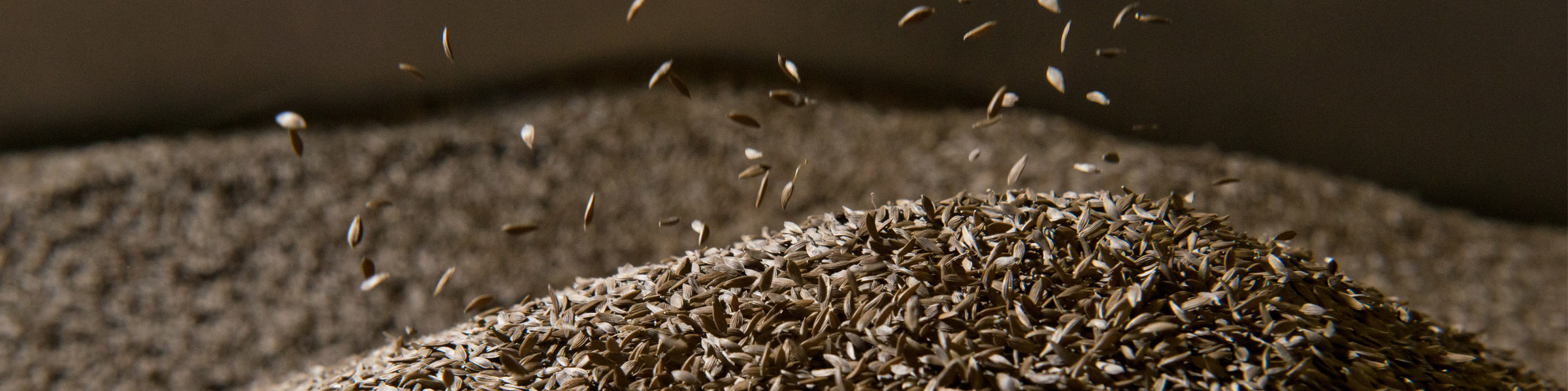 Vegetable seeds falling on a pile of vegetable seeds
