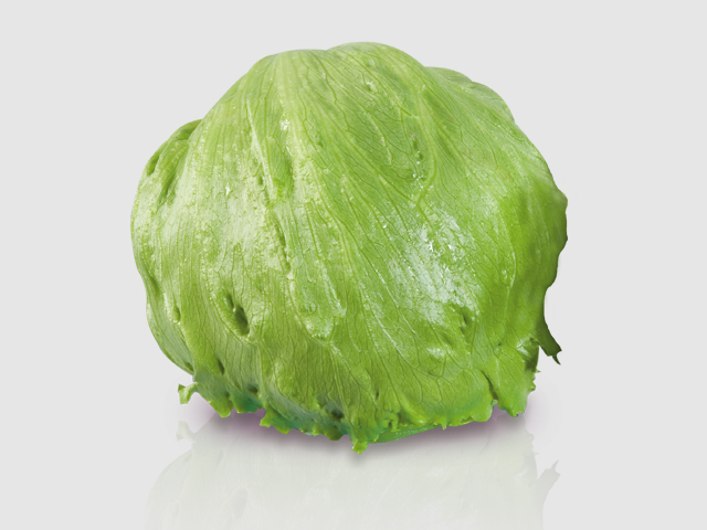 Lettuce Iceberg