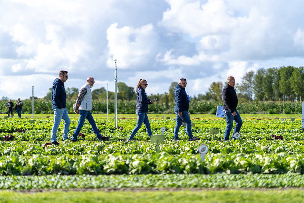 Customers walking in the fields at the Discovery Field Days Leafy