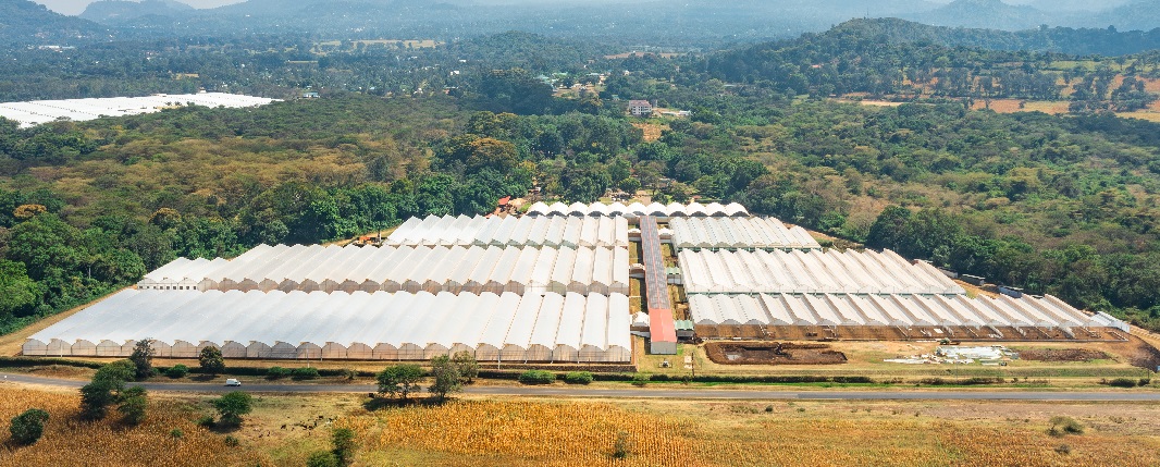 New production hub in Tanzania 