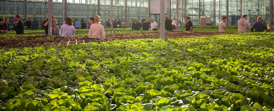Opening hydroponic / CEA breeding facility
