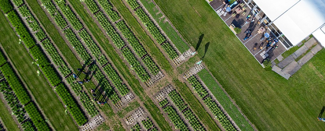 Discovery Field Days in Twisk from above