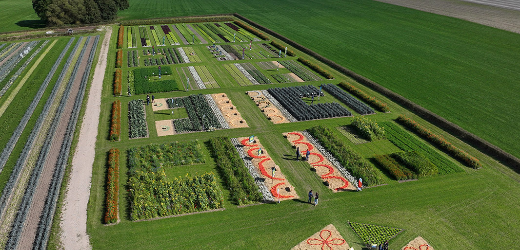 Overview over the DFD Fields at Vitalis Voorst