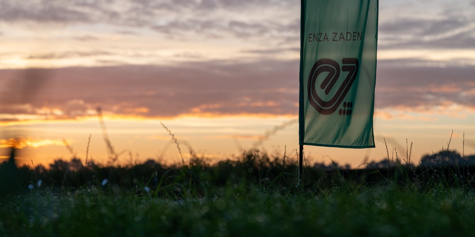 Discovery Field Days Voorst - sunset - with flag of Enza Zaden in field