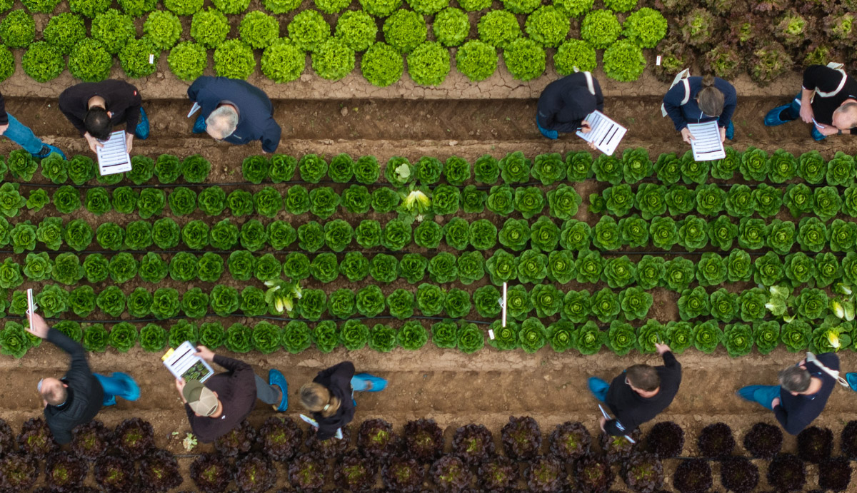 Strengthening the Future of Leafy Production at Discovery Field Days in Murcia