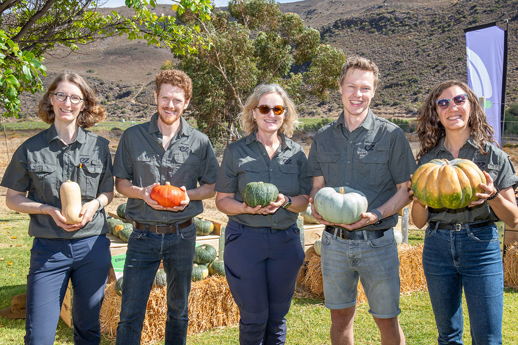 People holding pumpking varieties in their hands