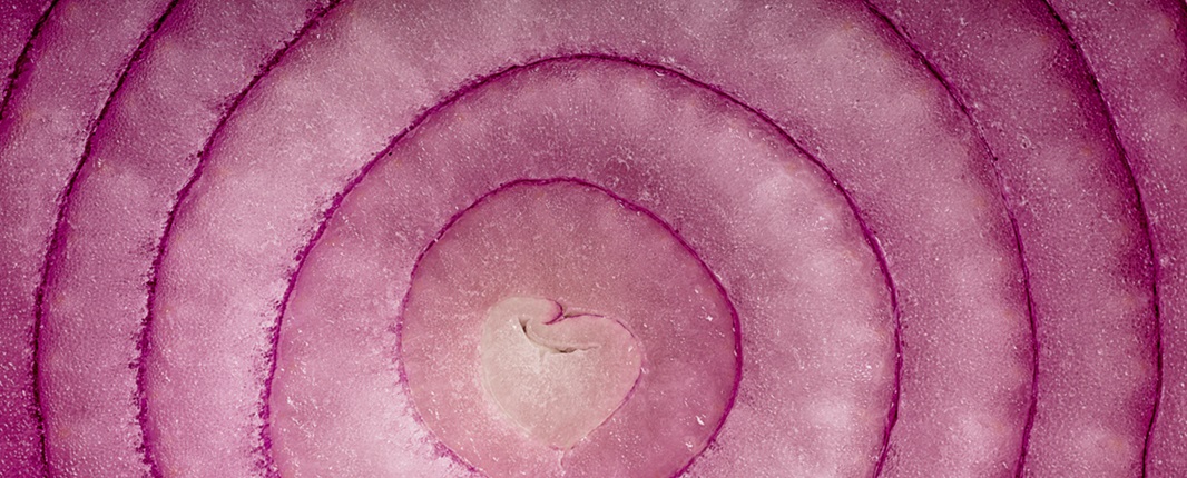 Close up of a slice of purple onion in which the rings are clearly visible