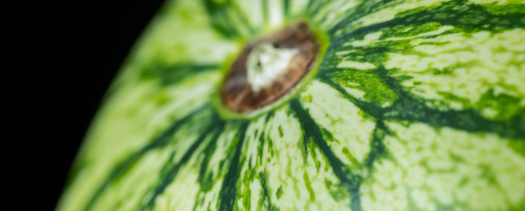 Watermelon mood