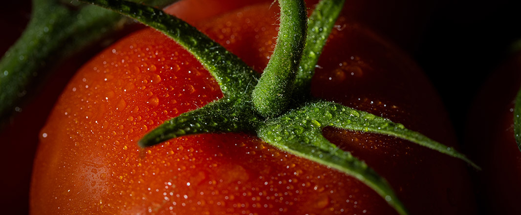 Tomato mood