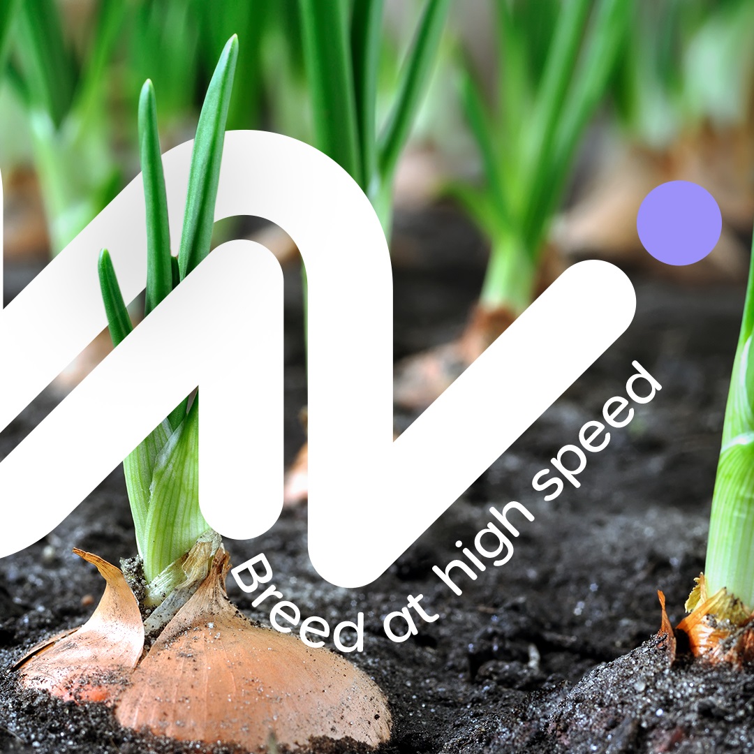 Zoomed at the soil, showing a young plant, with text Breed at high speed