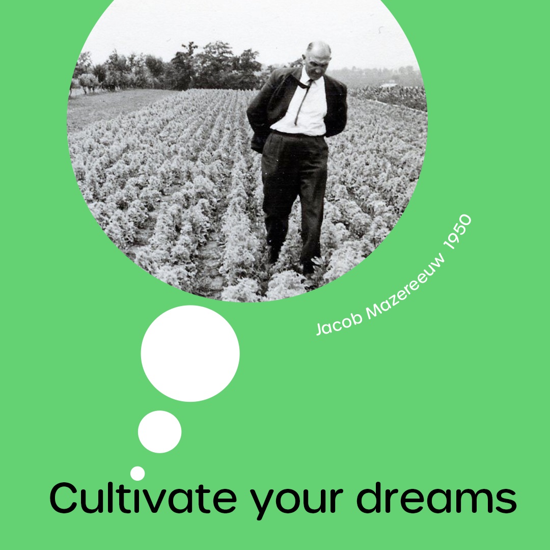 Cultivate  your dreams