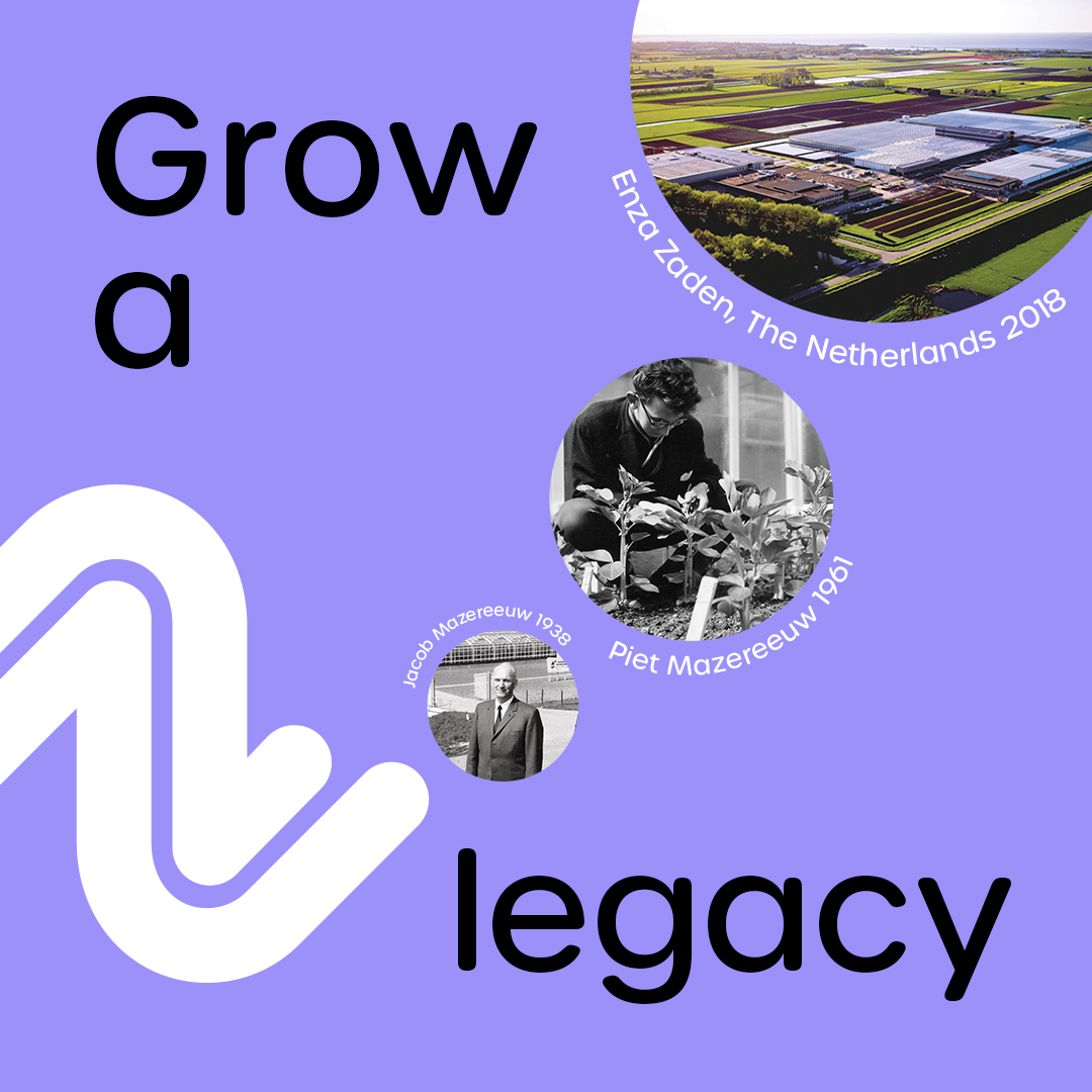 Grow a legacy with Enza Zaden chasing line and three circles with the history of Enza Zaden: the founder, his soon and the premises as it is now in Enkhuizen