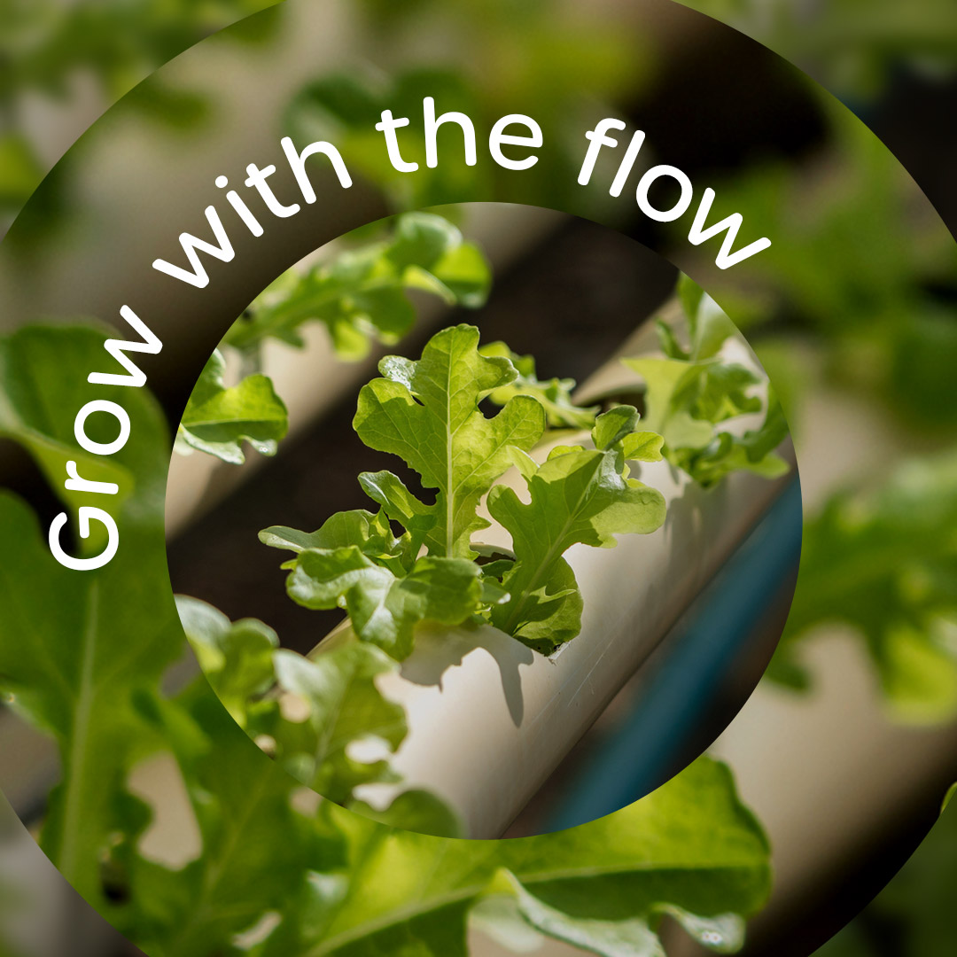 Grow with the flow