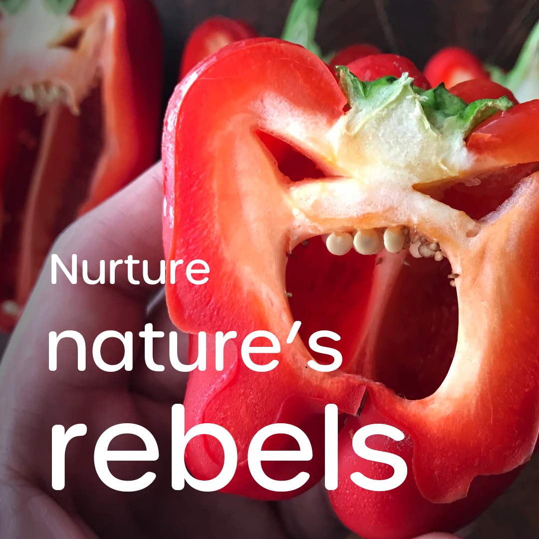 A bell pepper, cut in half, revealing an angry face