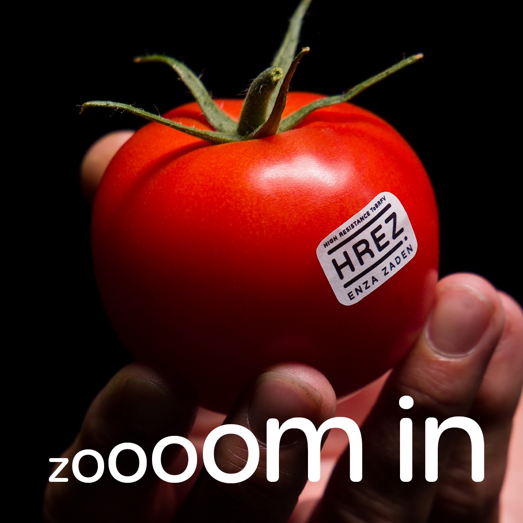 Zooooom in