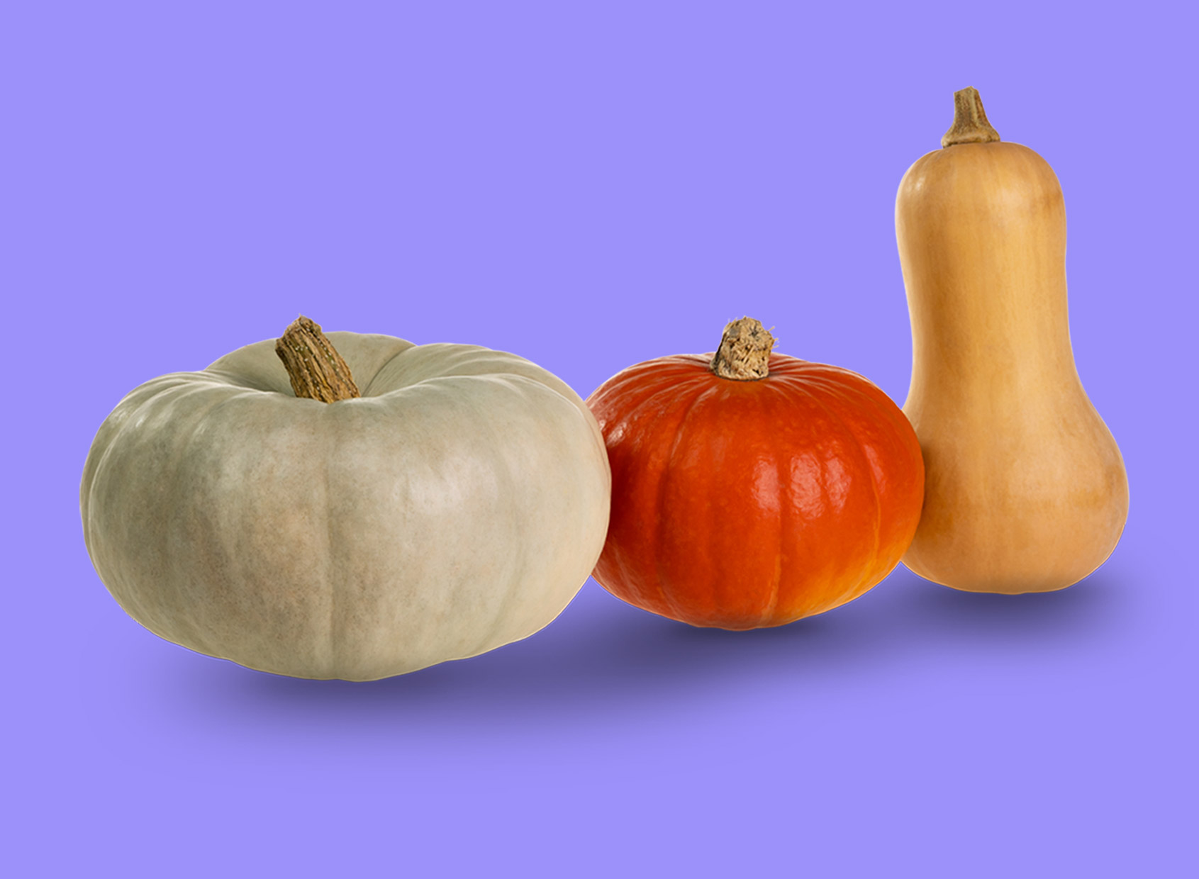 Grey pumpkin, hokkaido and pumpkin with a chase line background