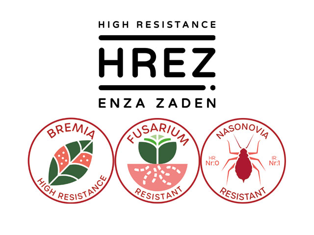 Resistance makes the Difference