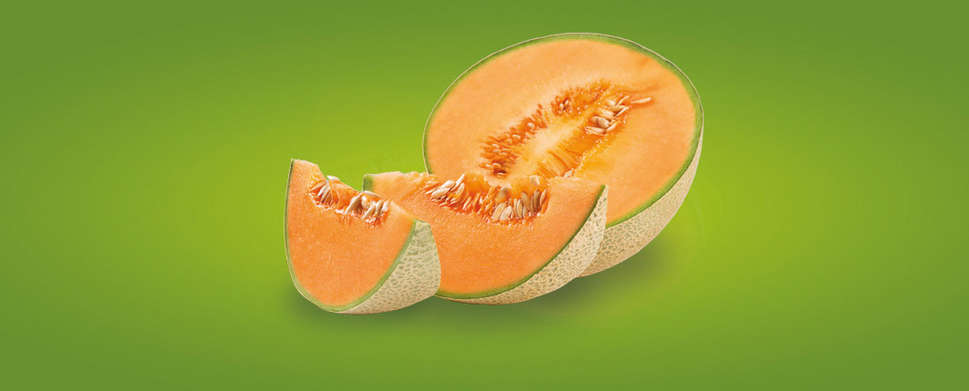 Melon House Fair 2021