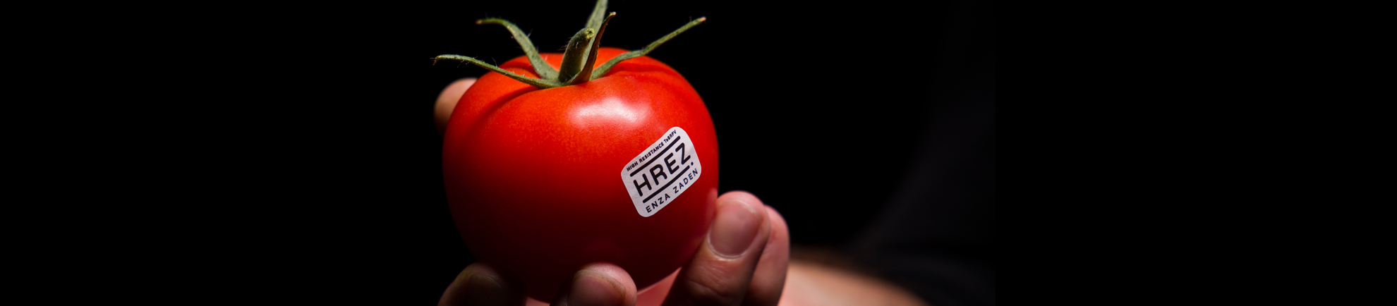 Tomato with label HREZ sticked to it, in a hand