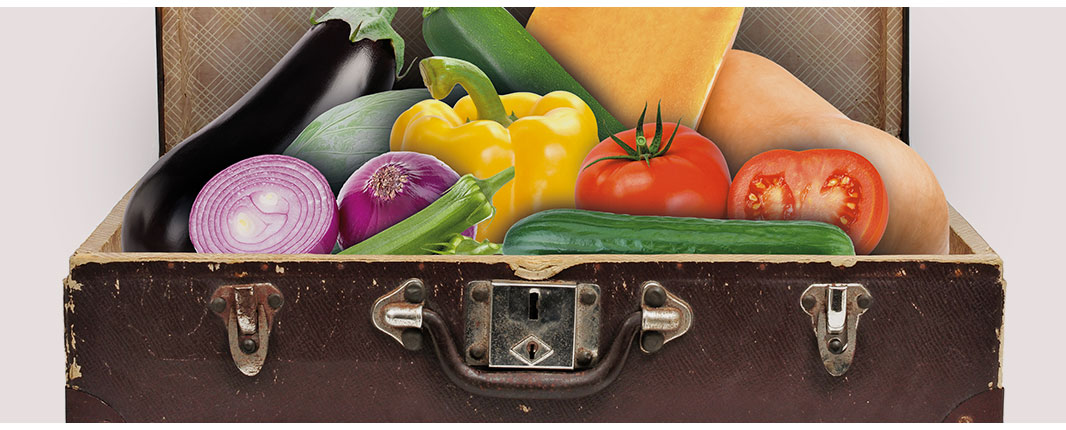 A suitcase full with vegetables