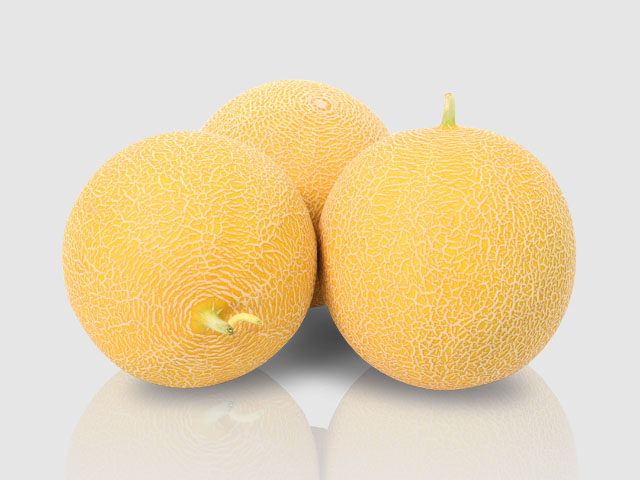 Melon varieties | Enza Zaden