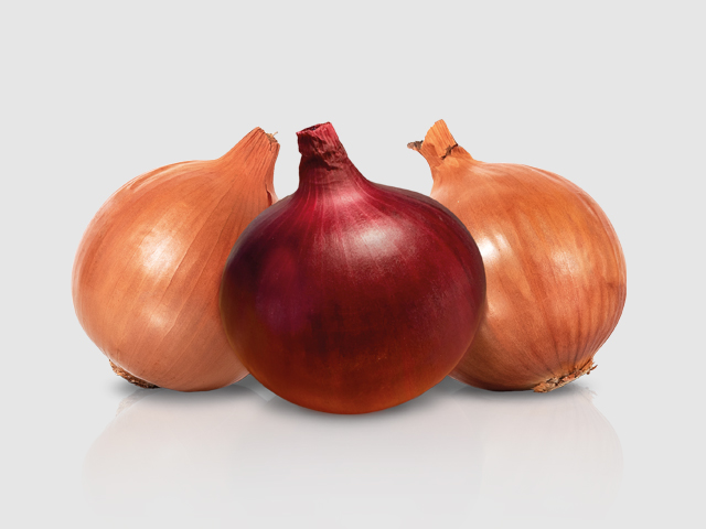 Onion varieties | Enza Zaden
