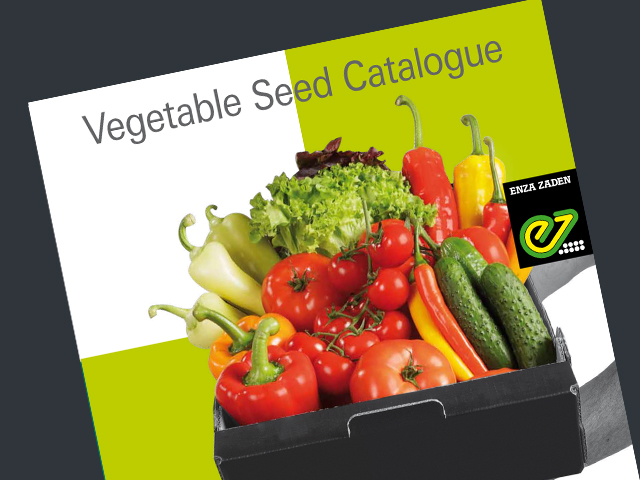 Enza Zaden Professionele Groentezaden 30 Groentegewassen