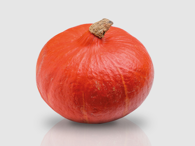 Casperita Pumpkin (F1 Hybrid 77 Days) – Pinetree Garden Seeds