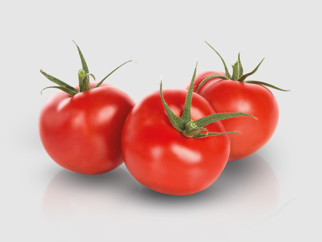 Tomato Tomato