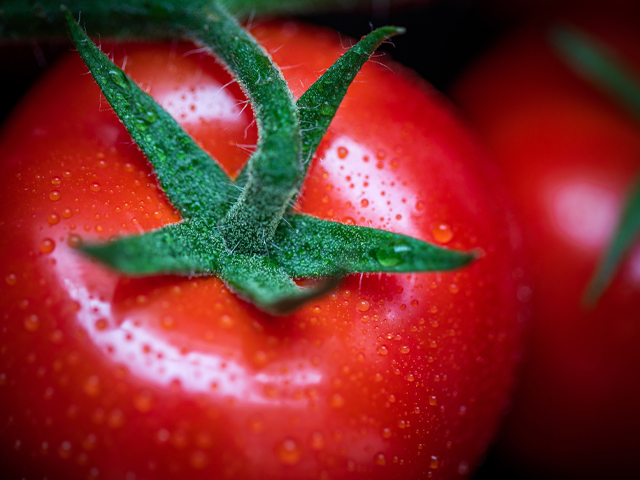 とまとページ tomato-mood.jpg