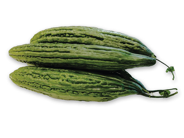 Bittergourd Tahlia