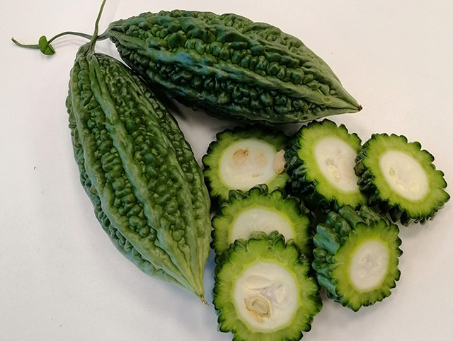 Bittergourd Argentum 77