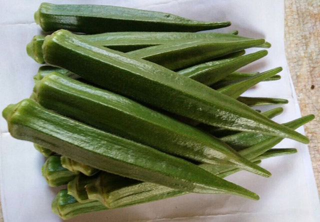 Okra Major Green 24 fruit