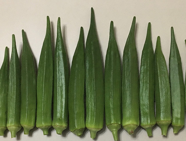 Okra Saloni