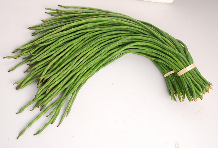 Yard Long Bean Concorde LB-313