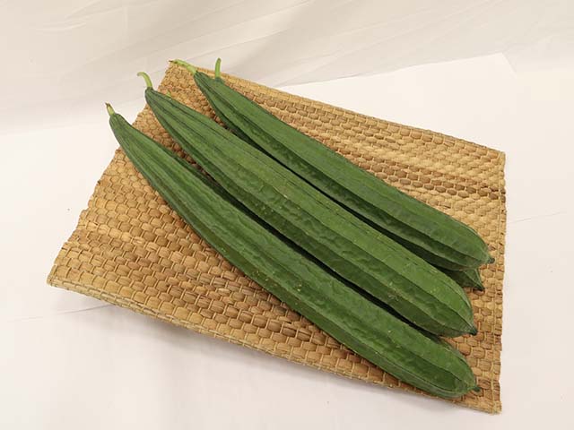 Ridge gourd RG 2266