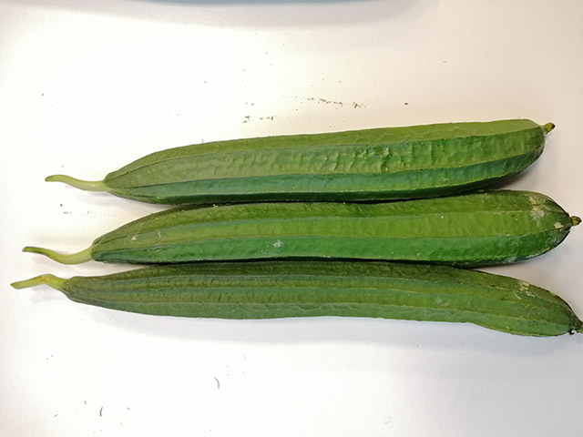 Ridge Gourd Lenjang