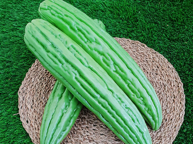 Bittergourd Bixsey029