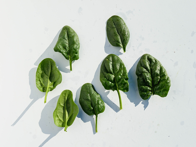 Spinach Traverse F1