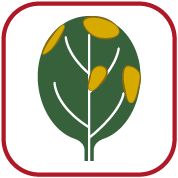 Resistance Stemphylium