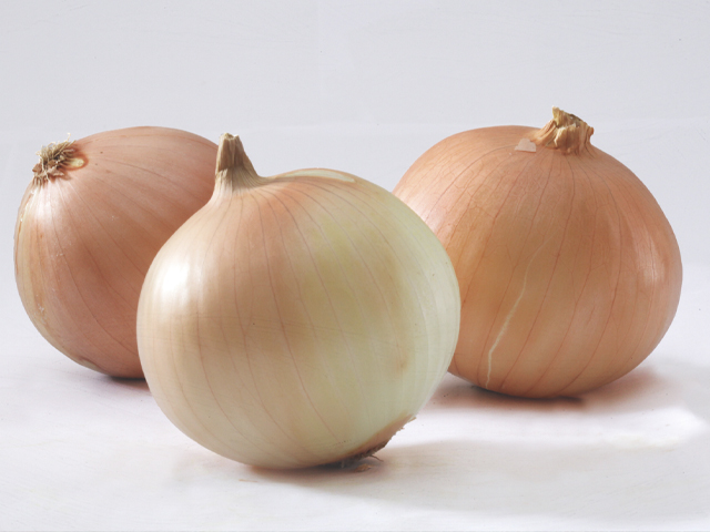 Shallot, Cebola é Um Vegetal E Especiaria Para Cozinhar Na Cozinha Imagem  de Stock - Imagem de cebola, cozinha: 165733177