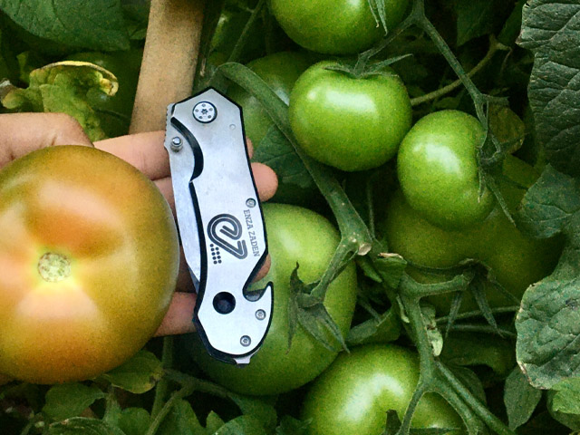 Indeterminado Salada Tomate Lobato