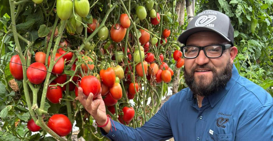 René Pelayo presenta nuestro nuevo tomate Roma: EZ 555.