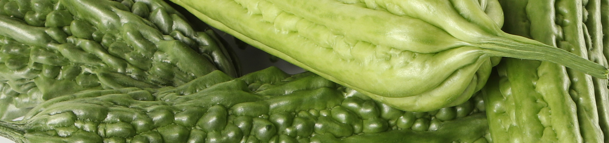 Bittergourd