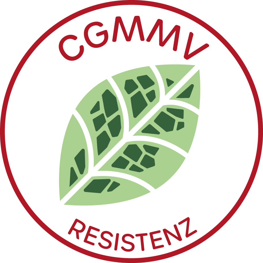 Resistenz gegen CGMMV