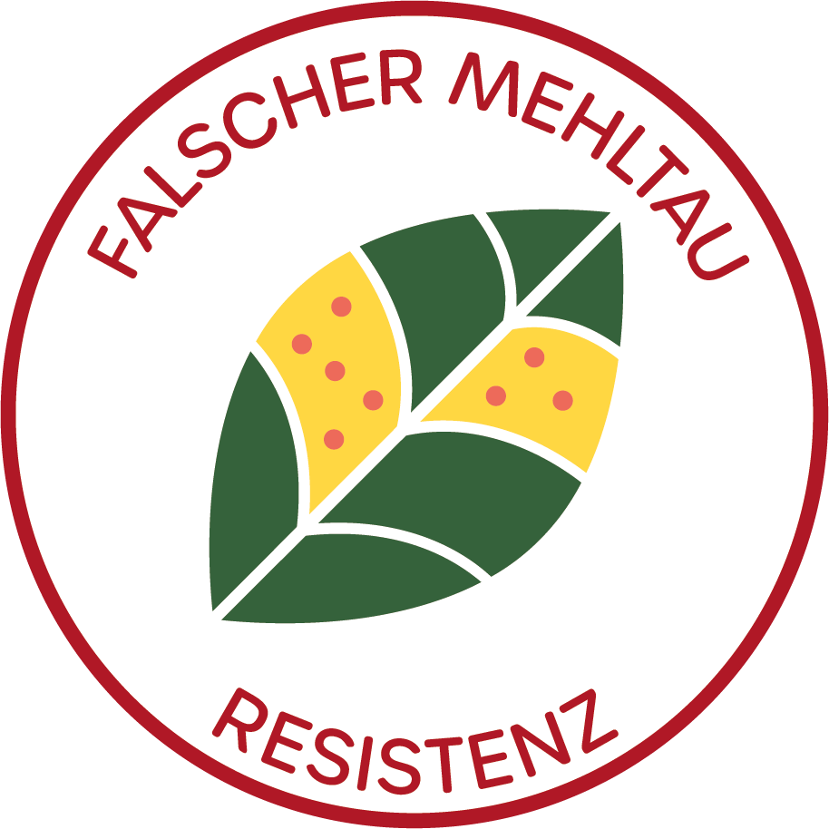 Resistenz gegen Falschen Mehltau