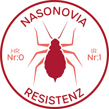 Nasonovia Nr:1 Resistenz (IR)