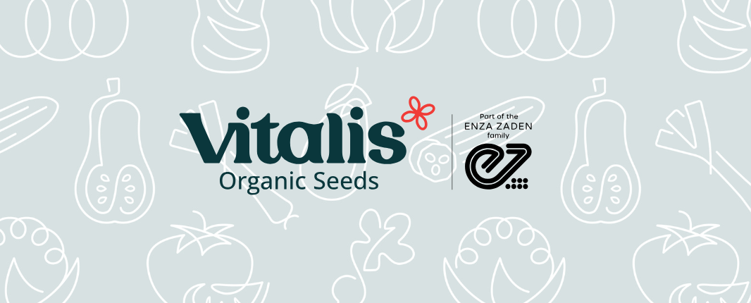 Vitalis ÖFT 25 Interview Matthes 
